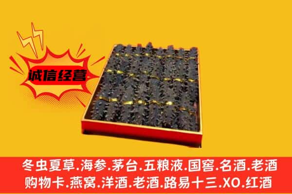 城口县回收海参